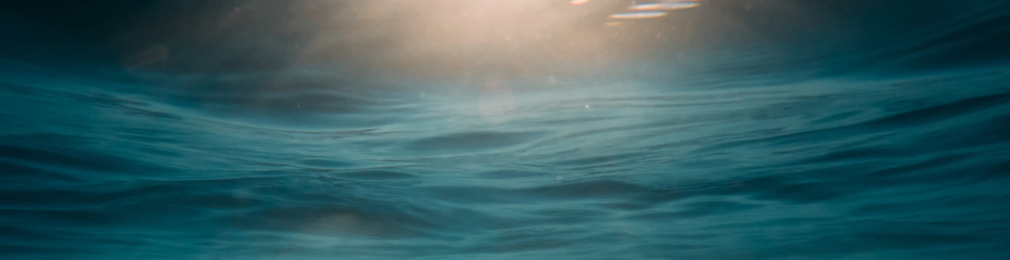 The Deep Dive